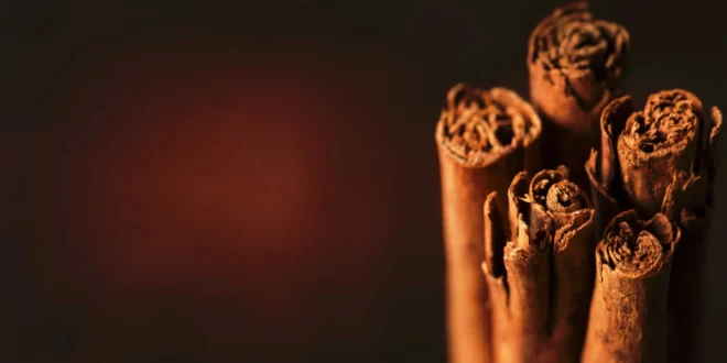 Tipos de Canela, qual é o melhor? Tipos de Canela, qual é o melhor?