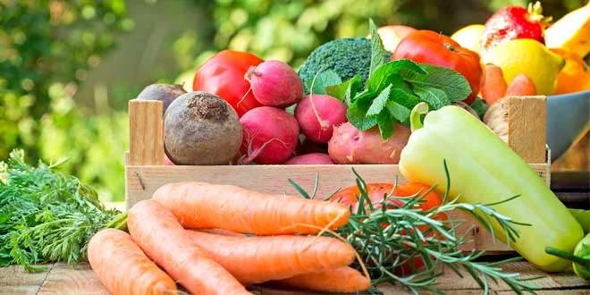 Truques para aumentar o consumo de legumes Truques para aumentar o consumo de legumes