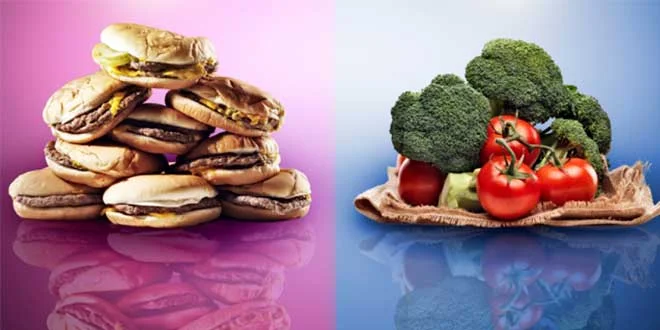 Dieta Flexível: Guia IIFYM