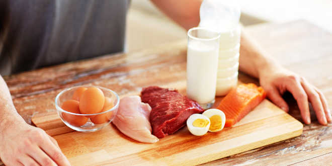 Quanto de proteína conseguimos absorver por refeição?