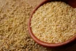 Sementes de amaranto, toda a informação