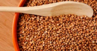 Trigo Sarraceno: o que é, benefícios para a saúde, apto para celíacos