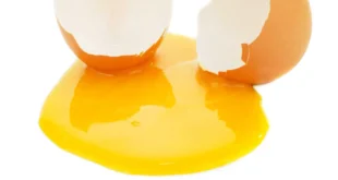 Alimentos ricos em zinco