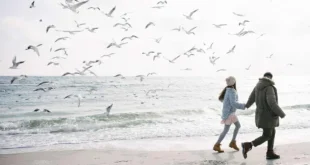 O que sabes sobre os 9 surpreendentes benefícios do óleo de krill?