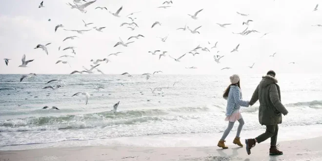 O que sabes sobre os 9 surpreendentes benefícios do óleo de krill?