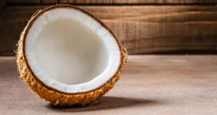Coco: propriedades, benefícios e valor nutricional de um superalimento natural