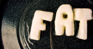 Gorduras Saturadas e Gorduras Trans: o que deves saber