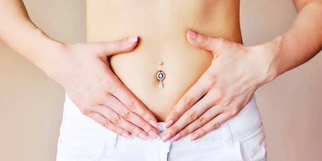 Lactobacillus helveticus, o probiótico mais eficaz Lactobacillus helveticus, o probiótico mais eficaz