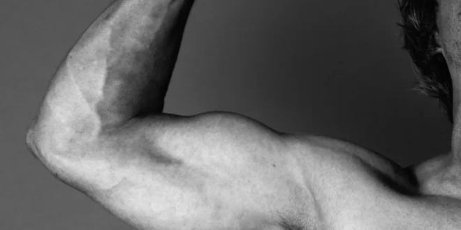 As melhores frases de Arnold Schwarzenegger As melhores frases de Arnold Schwarzenegger