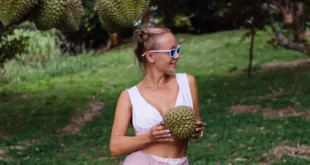 Graviola: o tesouro tropical para o teu bem-estar