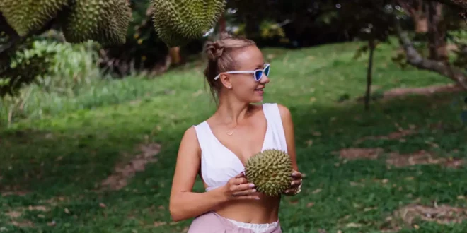 Graviola: o tesouro tropical para o teu bem-estar Graviola: o tesouro tropical para o teu bem-estar