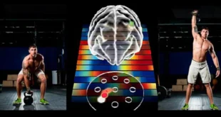 Como é que um movimento fica guardado na nossa memória?