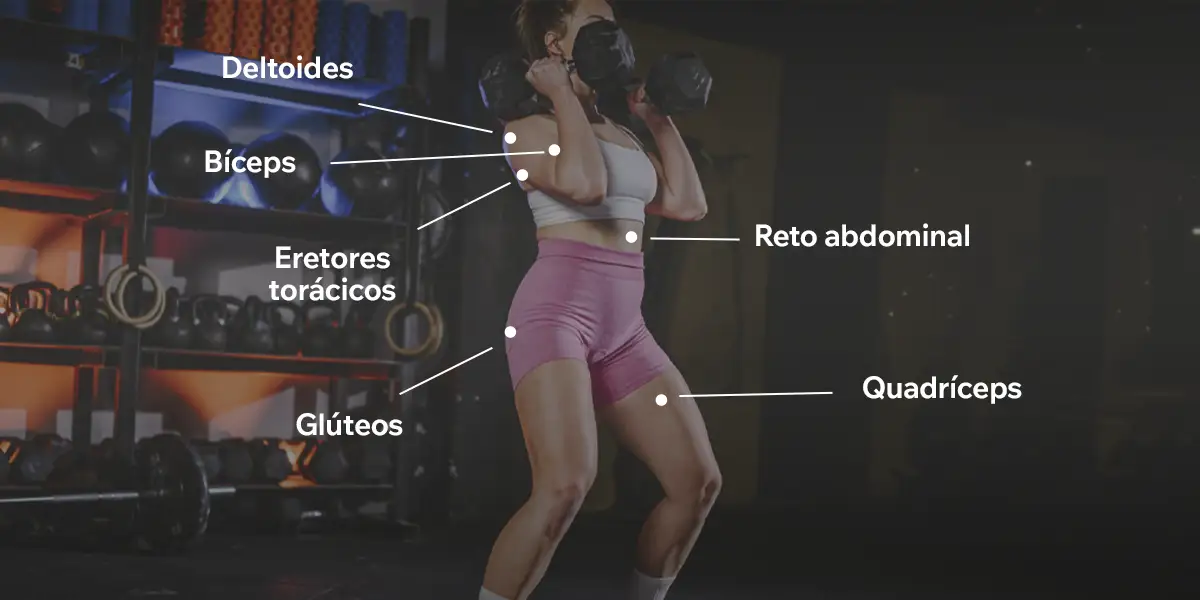 Músculos envolvidos no Front Rack Carry