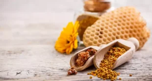 Própolis ou Própolis: o antibiótico natural das abelhas