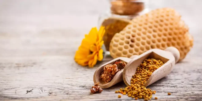 Própolis: o antibiótico natural das abelhas Própolis: o antibiótico natural das abelhas