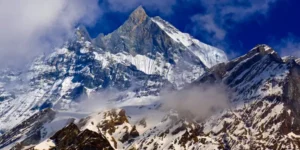 O que é o Shilajit e por que é considerado um superalimento milenar