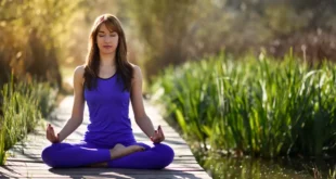 Ashwagandha para reduzir o stress e melhorar o bem-estar