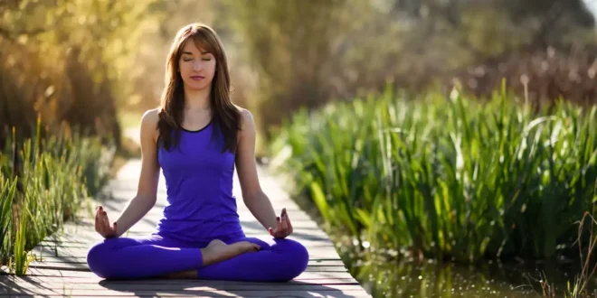 Ashwagandha para reduzir o stress e melhorar o bem-estar