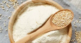 Top 8 Receitas com Farinha de Quinoa Integral da HSN