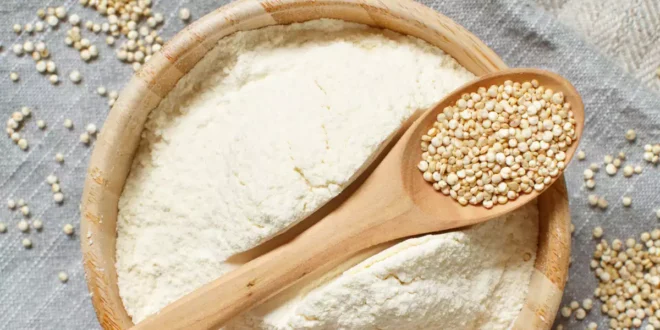 Top 8 Receitas com Farinha de Quinoa Integral da HSN