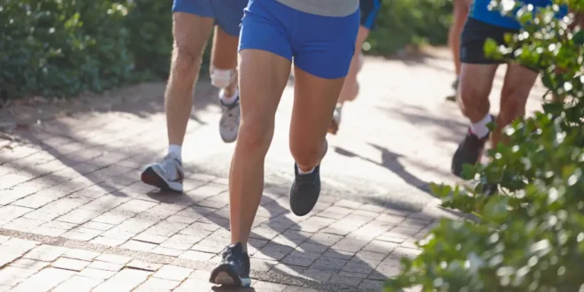 Tiroide: como regular as hormonas através do exercício Tiroide: como regular as hormonas através do exercício