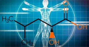 HICA: Metabólito da Leucina para o Crescimento Muscular