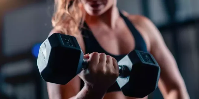 Rotina Torso-Perna: Guia Completo de 3 Semanas para Hipertrofia e Força Rotina Torso-Perna: Guia Completo de 3 Semanas para Hipertrofia e Força