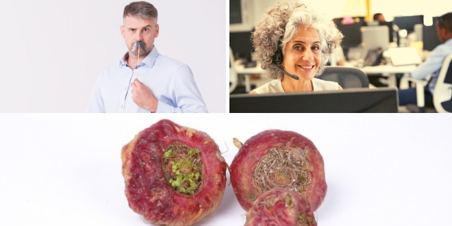 Conheces todo o potencial para a saúde da Maca Vermelha? Conheces todo o potencial para a saúde da Maca Vermelha?