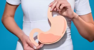 Fermentos Tindalizados: O que são, como atuam e as suas vantagens digestivas