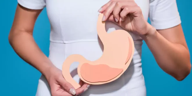 Fermentos Tindalizados: O que são, como atuam e as suas vantagens digestivas Fermentos Tindalizados: O que são, como atuam e as suas vantagens digestivas