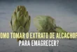 5 formas simples de tomar alcachofra para apoiar a perda de peso