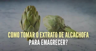 5 formas simples de tomar alcachofra para apoiar a perda de peso
