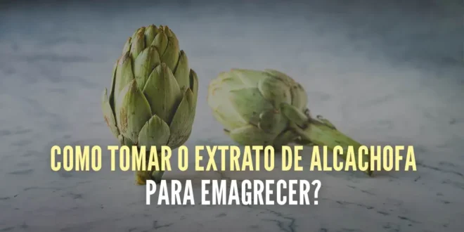 5 formas simples de tomar alcachofra para apoiar a perda de peso 5 formas simples de tomar alcachofra para apoiar a perda de peso