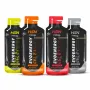 EVOENERGY GEL COM CAFEÍNA