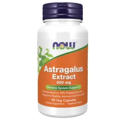 ASTRAGALUS EXTRACT 500mg -  90 veg caps