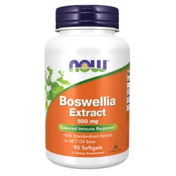 BOSWELLIA SERRATA EXTRACT 500mg