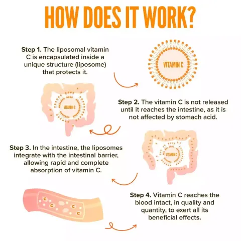 lipo c focus peptide Buy Liposomal Vitamin C