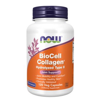 BioCell Collagen® COLAGÉNIO HIDROLISADO TIPO II