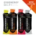 EVOENERGY GEL COM CAFEÍNA