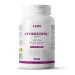 Pycnogenol® MARITIME PINE BARK EXTRACT (1000:1) 25mg
