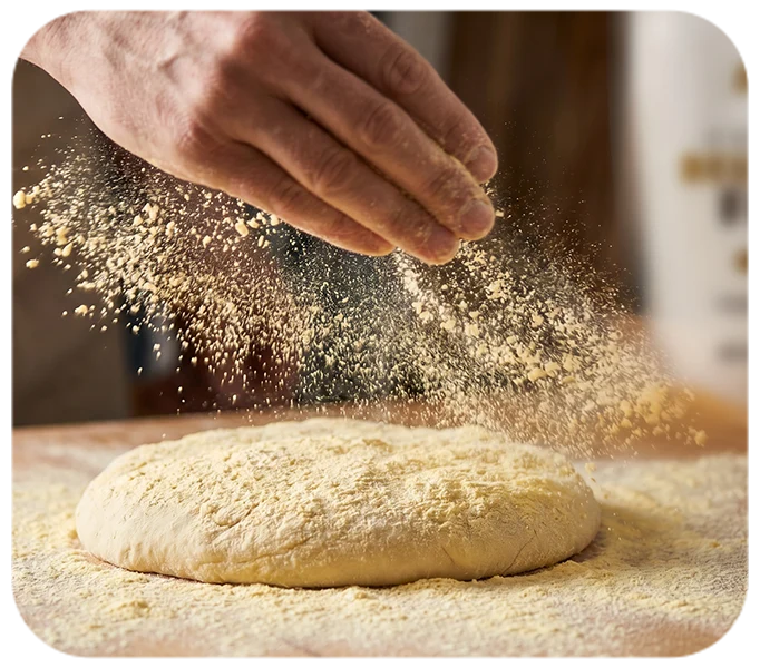 Coconut Flour Coconut Flour