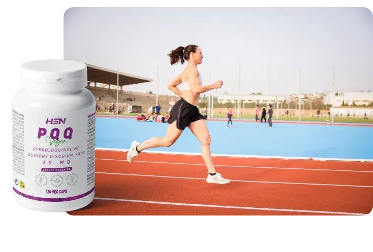 O que é que os antioxidantes aportam ao organismo?