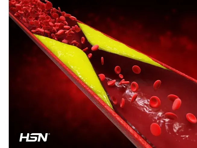 Como &eacute; que o colesterol influencia o bom funcionamento do organismo?