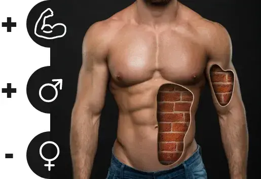 Quais s&atilde;o as fun&ccedil;&otilde;es da testosterona no nosso organismo?