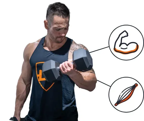 Suplementos de prote&iacute;na de carne ao melhor pre&ccedil;o