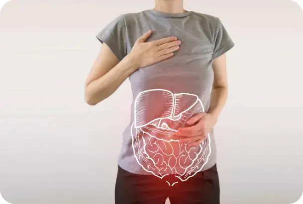 Qual &eacute; a fun&ccedil;&atilde;o das enzimas digestivas?