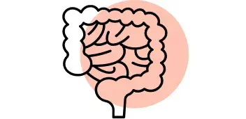 O carv&atilde;o ativado &eacute; eficaz contra o g&aacute;s do est&ocirc;mago?