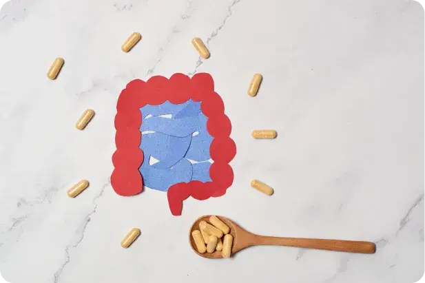 Porque &eacute; que se recomenda a toma de produtos para a digest&atilde;o?