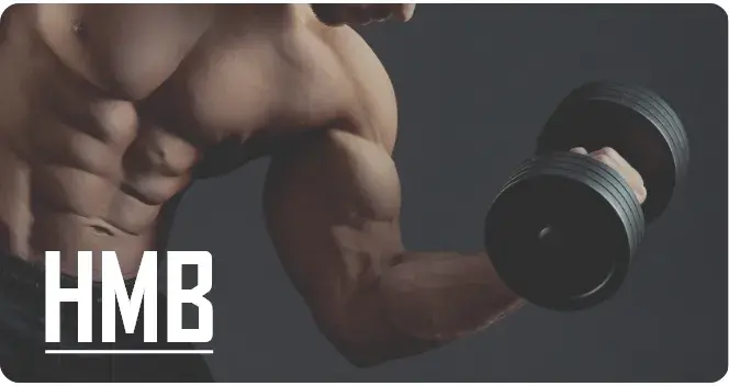 Para que serve o beta-hidroxi-beta-metilbutirato ou Leucina?