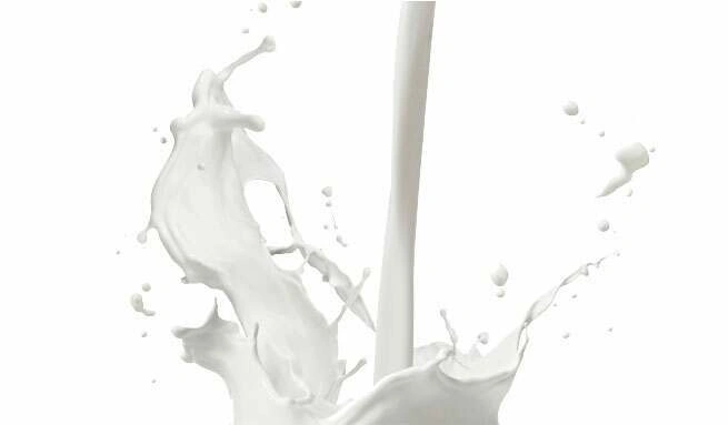 O que &eacute; que a prote&iacute;na whey fornece ao organismo?